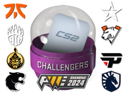 Shanghai 2024 Challengers Sticker Capsule image