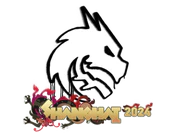 Sealed Graffiti | Team Spirit | Shanghai 2024 image