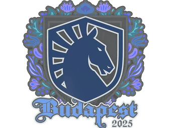 Sticker | Team Liquid | Budapest 2025 image