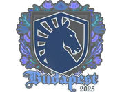 Sticker | Team Liquid | Budapest 2025 image