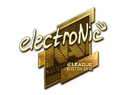 Sticker | electronic (Gold) | Boston 2018 image