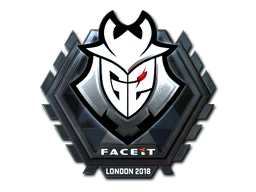 Sticker | G2 Esports (Foil) | London 2018 image