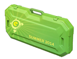 eSports 2014 Summer Case image