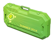 eSports 2014 Summer Case image