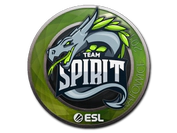 Sticker | Team Spirit | Katowice 2019 image