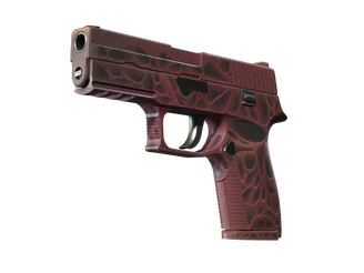 P250 | Contaminant image