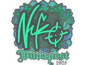 Sticker | NiKo | Budapest 2025 image