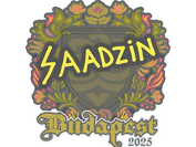 Sticker | saadzin | Budapest 2025 image