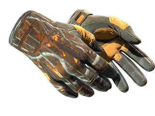 ★ Sport Gloves | Big Game