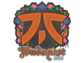 Sealed Graffiti | fnatic | Budapest 2025