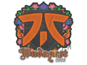 Sealed Graffiti | fnatic | Budapest 2025 image