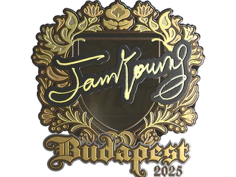 Sticker | JamYoung (Gold) | Budapest 2025 image
