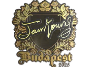 Sticker | JamYoung (Gold) | Budapest 2025 image