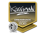 Sticker | karrigan | Cluj-Napoca 2015 image