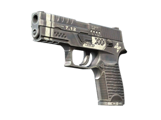 P250 | Re.built image