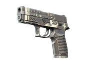 P250 | Re.built image