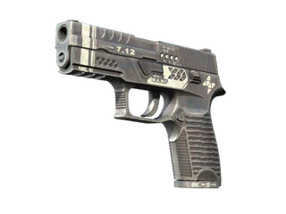 P250 | Re.built