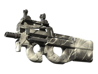 P90 | Ash Wood image