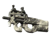 P90 | Ash Wood image