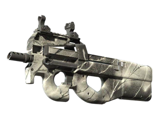 P90 | Ash Wood image