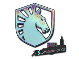 Team Liquid (Holo) | Stockholm 2021 image