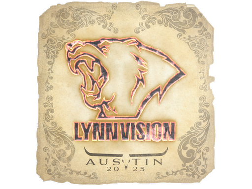 Lynn Vision | Austin 2025 image