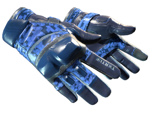 ★ Moto Gloves | Polygon image