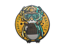 Ready For Battle image