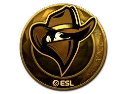 Sticker | Renegades (Gold) | Katowice 2019 image