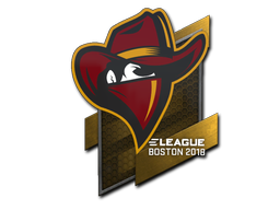 Sticker | Renegades | Boston 2018 image