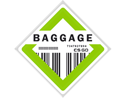 The Baggage Collection image