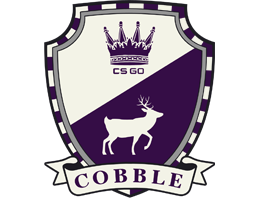The Cobblestone Collection image