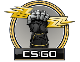 The Glove Collection image
