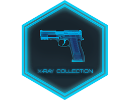 The X-Ray Collection image