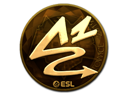 ANGE1 (Gold) | Katowice 2019 image