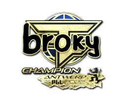 broky (Gold, Champion) | Antwerp 2022 image