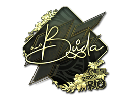 BUDA (Gold) | Rio 2022 image