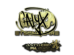 Calyx (Gold) | Antwerp 2022 image
