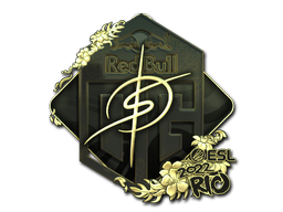 Sticker | degster (Gold) | Rio 2022 image