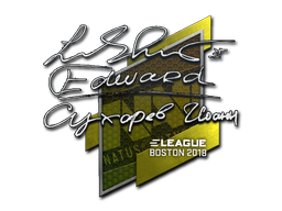 Edward | Boston 2018 image