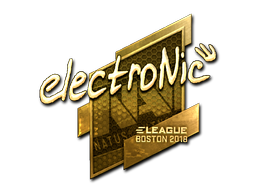 electronic (Gold) | Boston 2018 image