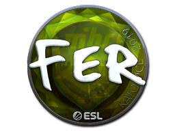fer (Foil) | Katowice 2019 image