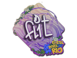 FL1T | Rio 2022 image