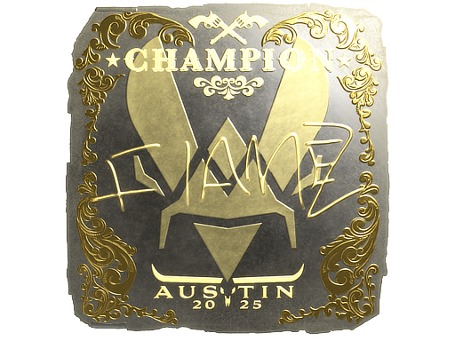 FlameZ (Gold, Champion) | Austin 2025 image