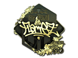 FlameZ (Gold) | Rio 2022 image