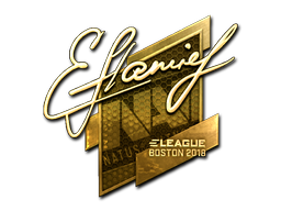 flamie (Gold) | Boston 2018 image