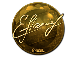 flamie (Gold) | Katowice 2019 image