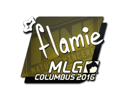 flamie | MLG Columbus 2016 image