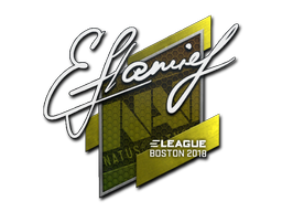 flamie | Boston 2018 image