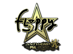 floppy (Gold) | Antwerp 2022 image
